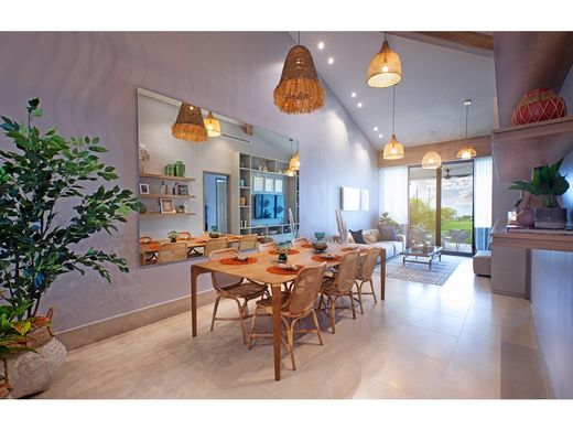 Luxus-Haus in San Carlos, Distrito de San Carlos