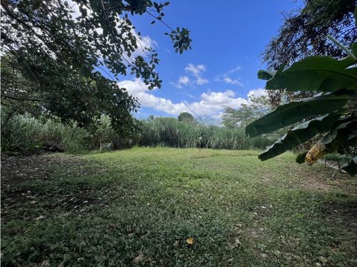 토지 / 파나마 시, Distrito de Panamá