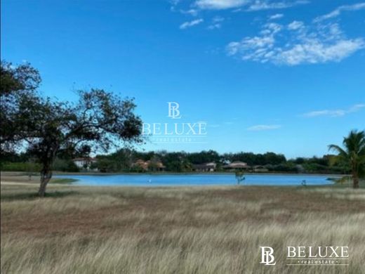 Αγροτεμάχιο σε Farallón, Distrito de La Pintada