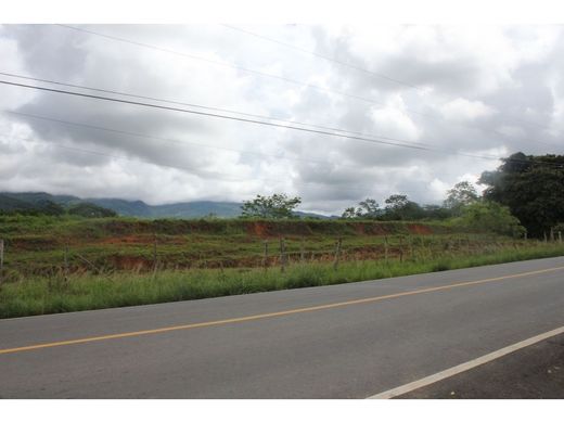 Teren w Panama, Distrito de Panamá