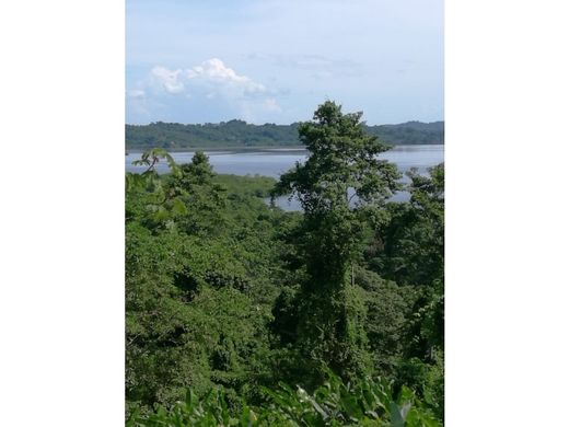 ﻣﻨﺰﻝ ﺭﻳﻔﻲ/ ﺑﻴﺖ ﻤﺰﺭﻋﺔ ﻓﻲ Bocas del Toro, Distrito de Bocas del Toro
