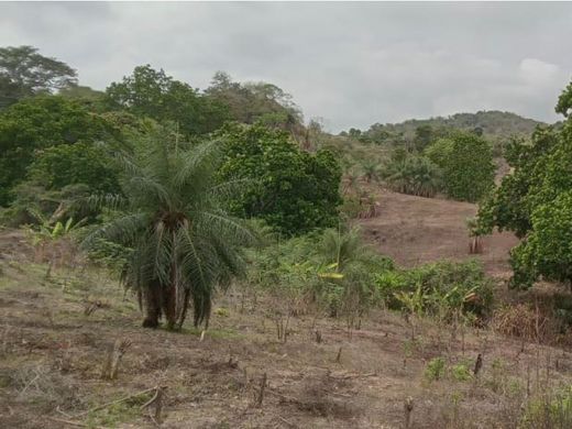 Участок, Панама, Distrito de Panamá