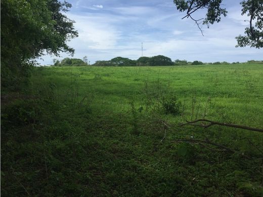 Terreno en Guararerito, Distrito de Los Santos