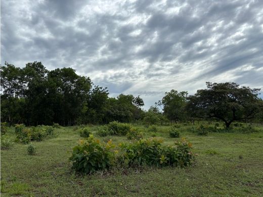 Quinta rústica - David, Distrito de David