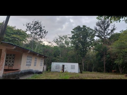 Farmhouse in La Chorrera, Distrito de La Chorrera