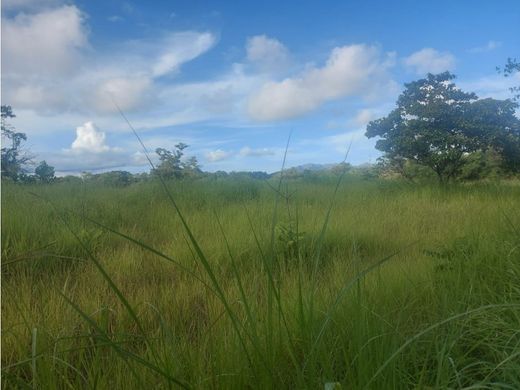 Grond in San Carlos, Distrito de San Carlos