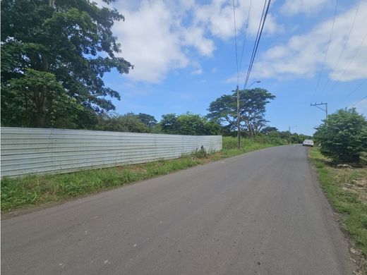 Ferme à La Chorrera, Distrito de La Chorrera