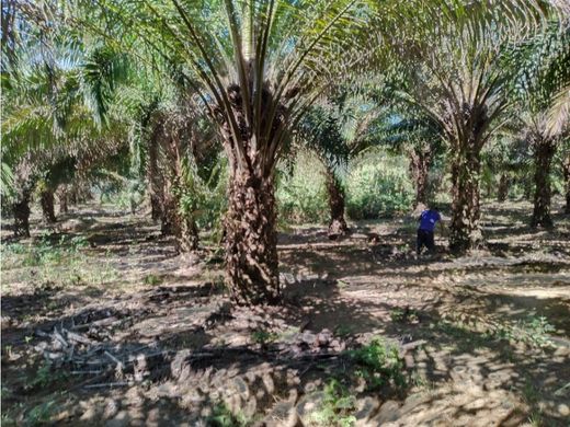 ‏בתים כפריים או חוות ב  Bugaba, Distrito de Bugaba