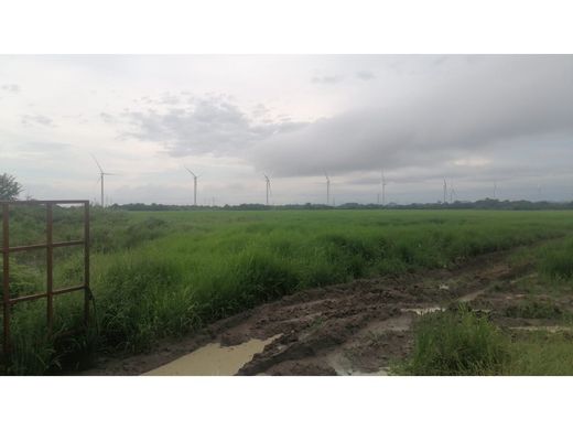 ‏בתים כפריים או חוות ב  Penonomé, Distrito Penonomé