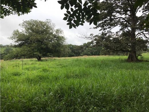 Сельский Дом, Veraguas, Distrito de Santa Fé