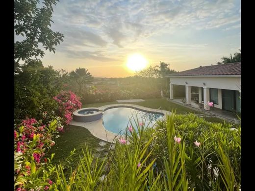 豪宅  San Carlos, Distrito de San Carlos