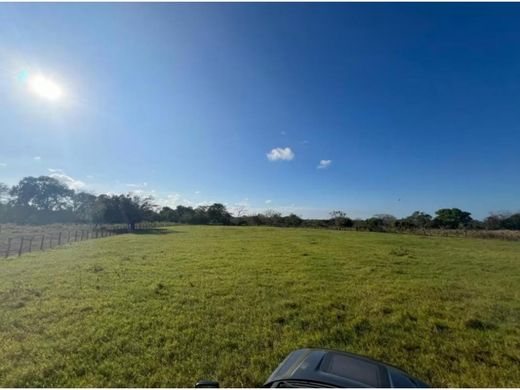 Teren w Pedasí, Distrito de Pedasí