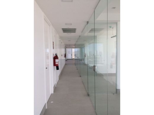 Офис, Bella Vista, Distrito de Donoso