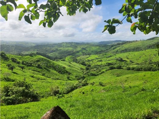 ‏בתים כפריים או חוות ב  Chepo, Distrito de Chepo