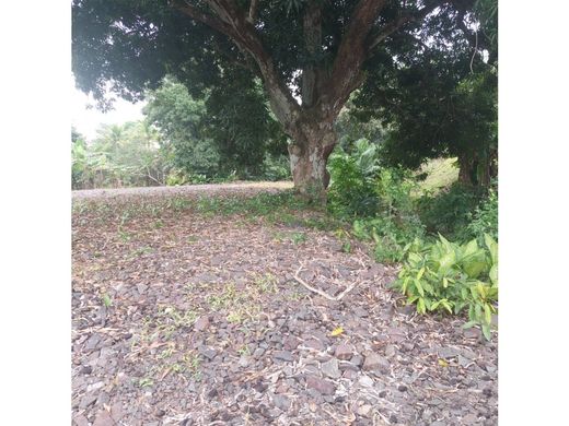 Arraiján, Distrito Arraijánの土地