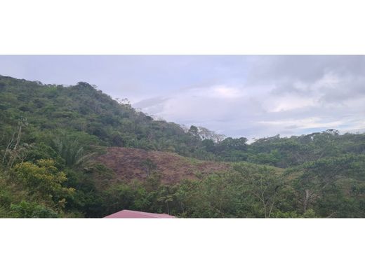 Gutshaus oder Landhaus in Penonomé, Distrito Penonomé