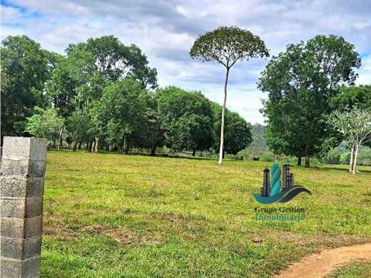 村舍/农舍  David, Distrito de David