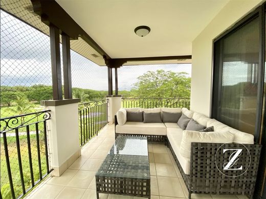 Πολυτελή κατοικία σε Antón, Distrito de Antón