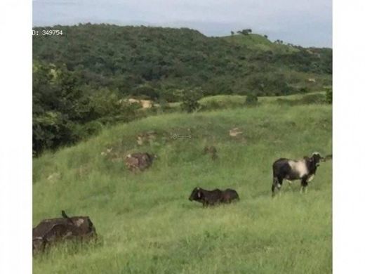 ﻣﻨﺰﻝ ﺭﻳﻔﻲ/ ﺑﻴﺖ ﻤﺰﺭﻋﺔ ﻓﻲ San Carlos, Distrito de San Carlos