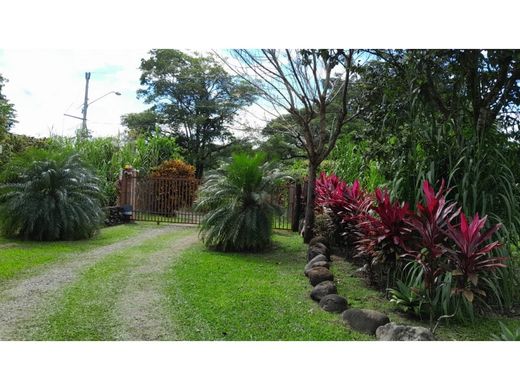 Ferme à David, Distrito de David