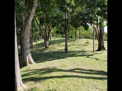 Grond in San Carlos, Distrito de San Carlos