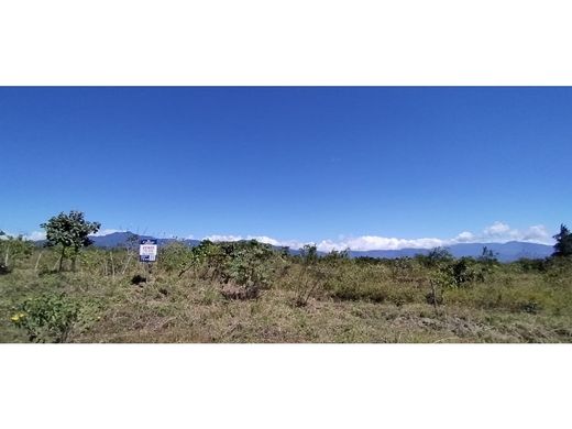 ﻣﻨﺰﻝ ﺭﻳﻔﻲ/ ﺑﻴﺖ ﻤﺰﺭﻋﺔ ﻓﻲ Boquete, Distrito de Boquete