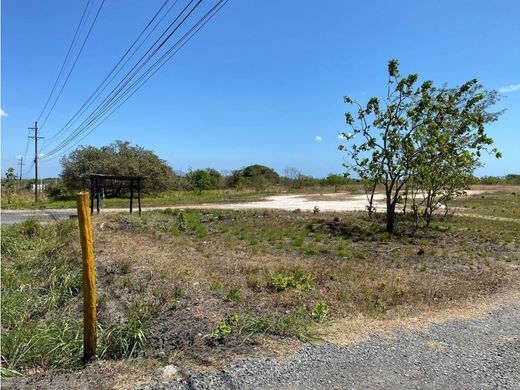 地皮  San Carlos, Distrito de San Carlos