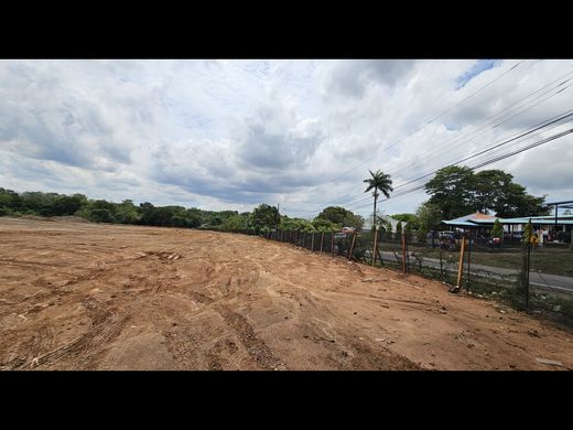 地皮  月租 La Chorrera