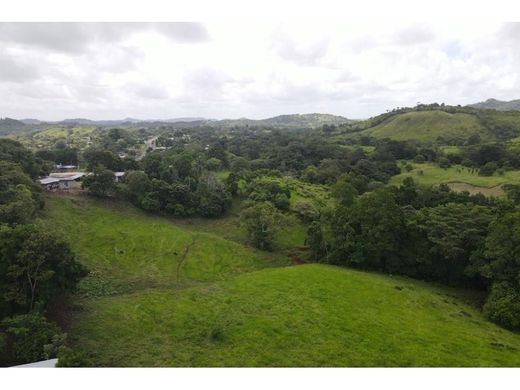 Quinta rústica - La Chorrera, Distrito de La Chorrera