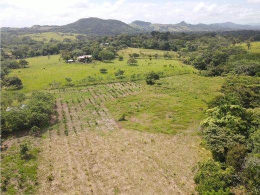 Ρουστίκ ή αγροικία σε La Chorrera, Distrito de La Chorrera