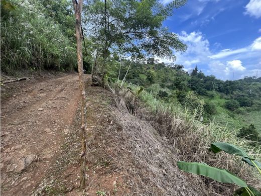 Terrain à Las Lajas, Distrito de Panamá