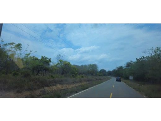 村舍/农舍  David, Distrito de David