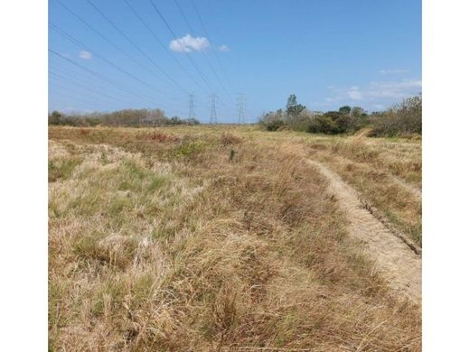 토지 / El Jagüito, Distrito de Antón