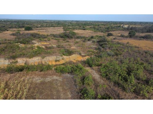 Penonomé, Distrito Penonoméの土地