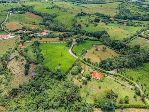 토지 / La Chorrera, Distrito de La Chorrera