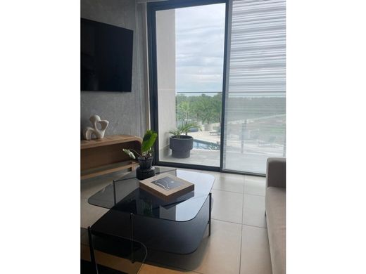 Daire Panama (şehir)
, Distrito de Panamá