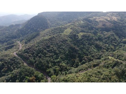 San Carlos, Distrito de San Carlosの土地