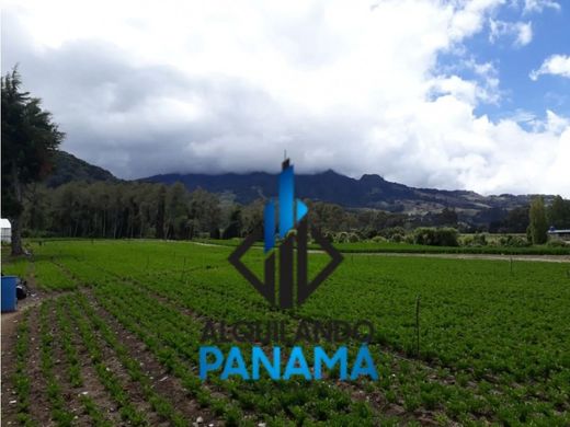 Gutshaus oder Landhaus in Chiriquí, Distrito de David