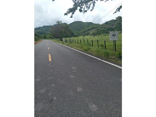 ‏בתים כפריים או חוות ב  Penonomé, Distrito Penonomé