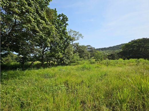 ‏בתים כפריים או חוות ב  El Ciruelito, Distrito de Antón