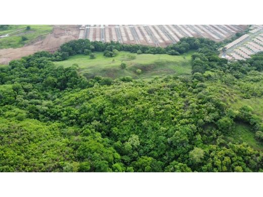 Boerderij in La Chorrera, Distrito de La Chorrera