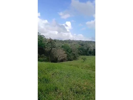 Farmhouse in La Chorrera, Distrito de La Chorrera