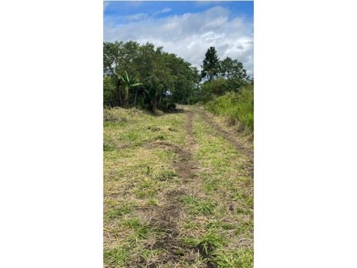 Land in Boquete, Distrito de Boquete