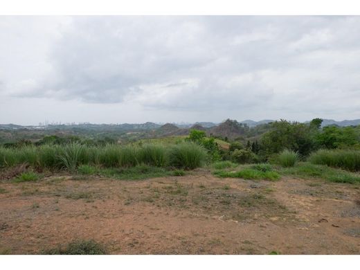 토지 / 파나마 시, Distrito de Panamá