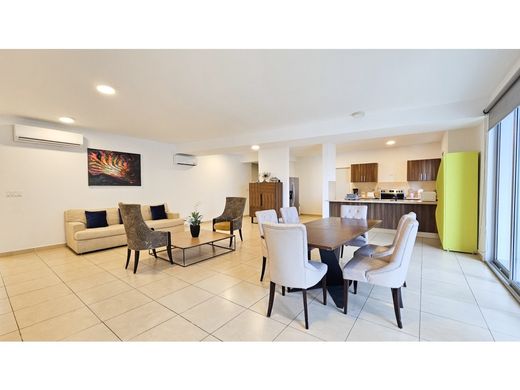 Квартира, San Francisco, Distrito de San Francisco