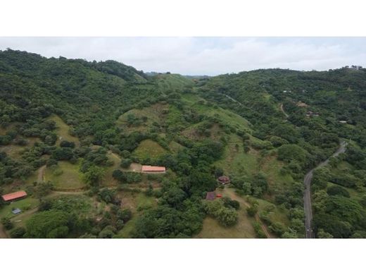 Arsa Tonosí, Distrito de Tonosí