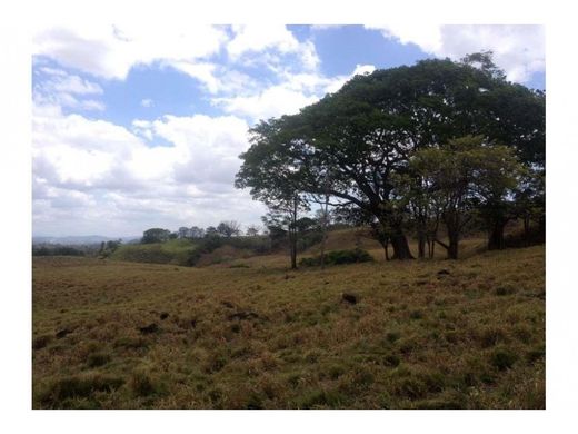 ‏קרקע ב  Bella Vista, Distrito de Donoso