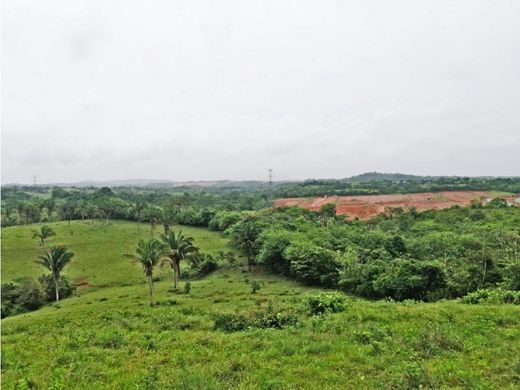 Rustik ya da çiftlik La Chorrera, Distrito de La Chorrera