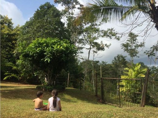 Arsa La Chorrera, Distrito de La Chorrera