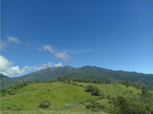 Boerderij in Dolega District, Distrito de Dolega